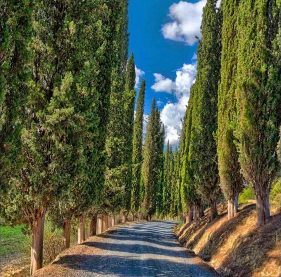 Agriturismo Fattoria Il Piano - Casa Tosca - Сан-Джиминьяно Экстерьер фото